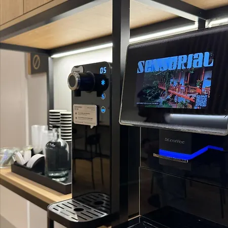 Colectia Ondarreta San Sebastián