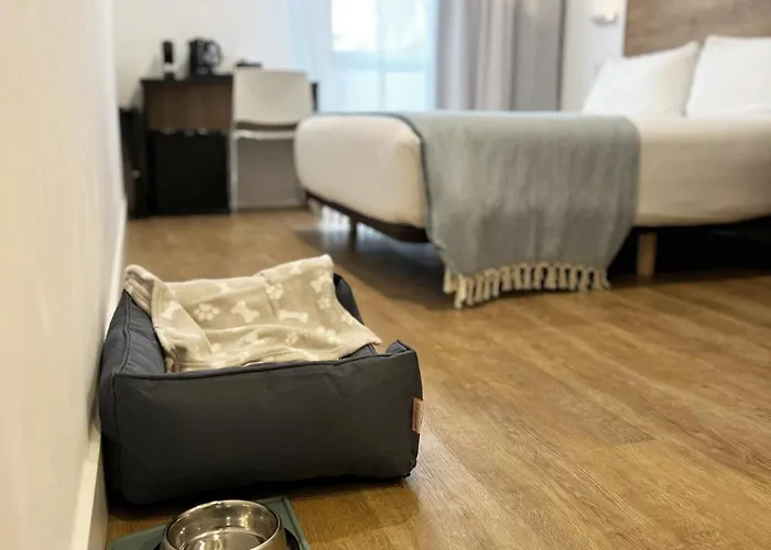 Colectia Ondarreta Hotel *