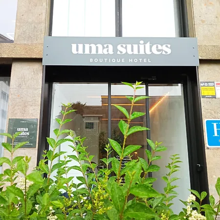 Colectia Ondarreta * 산세바스티안